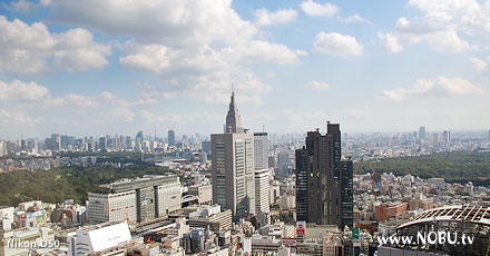 新宿高層ビル