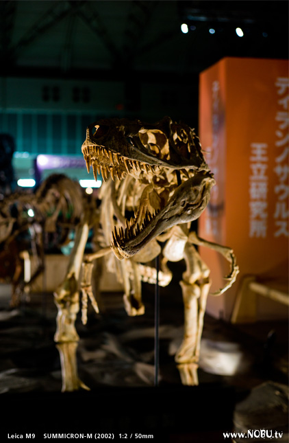 『恐竜王国2012』
