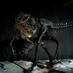 『恐竜王国2012』で気になった事（1）