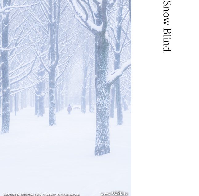 Snow Blind – 1（代々木公園-雪）
